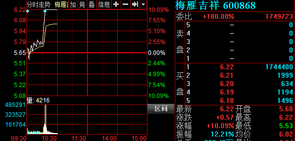 证金概念股梅雁吉祥盘中直线拉升涨停,报价6.22元,涨幅10.