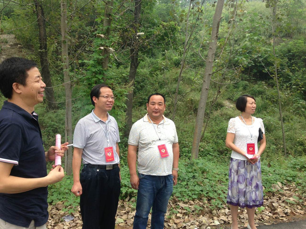 洛阳嵩县政协委员视察交通重点工程