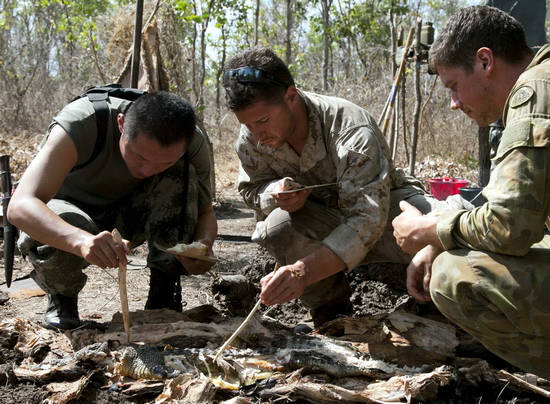 原文配图:中美澳士兵在澳受训野外生存。