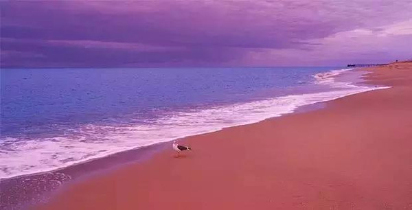 脑补,谁说粉色沙滩只有加勒比的巴哈马有