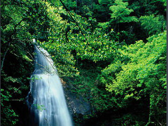 游上饶:上饶玉山武安山旅游景点介绍