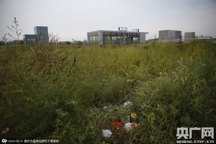 探访北京行政副中心附近 摩的穿梭荒草丛生(图