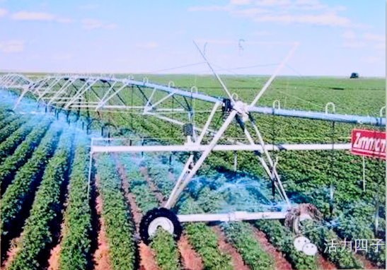 节水增粮项目打造四子王旗现代化农业新亮点