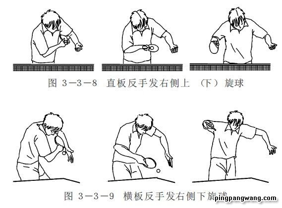 乒乓球发球技术和11种发球方法超全有木有