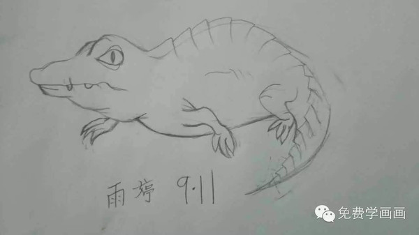 【作业点评1】看我画的鳄鱼是不是也很可爱呢?