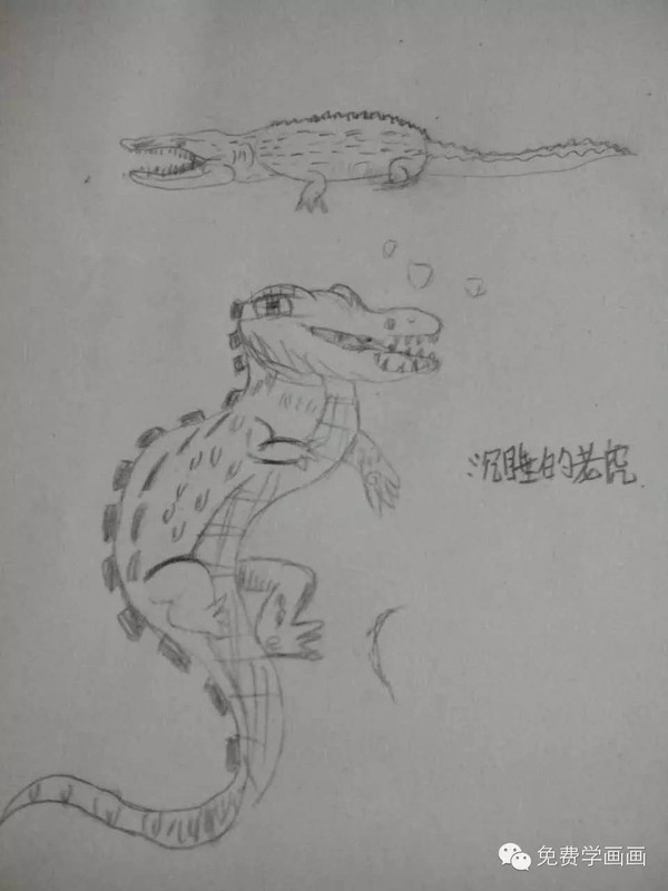 【作业点评1】看我画的鳄鱼是不是也很可爱呢?