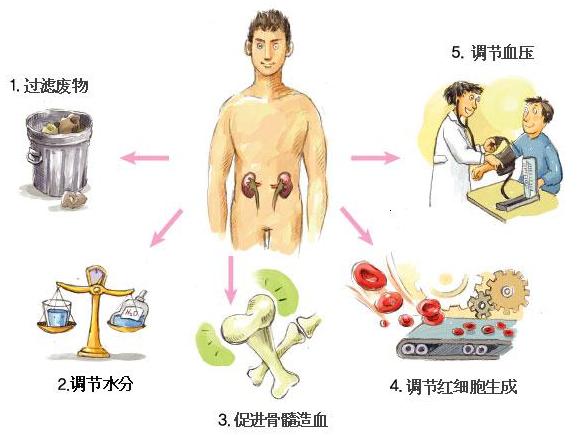 茶花女中的饮酒歌一提琴谱子