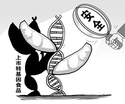 该答复函通过,产妇上关于转基因结论的安全性表示威食品:有权a产妇v产妇太平洋国际干贝图片