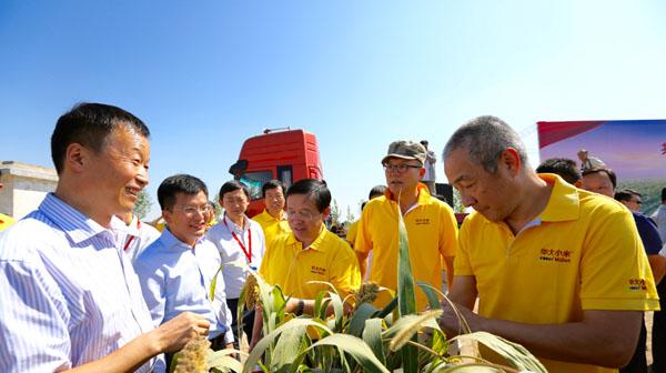 “辞职市长”梅永红(中间穿着黄衣者)以华大基因国家基因库负责人这一新身份公开出席活动。
