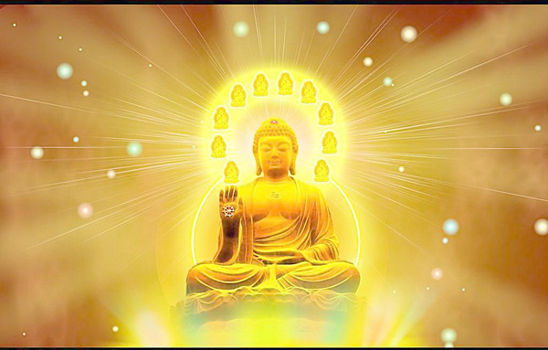 佛教的特点:恶行自断 佛教的宗旨是:普度众生 作为佛教徒就要以慈悲为