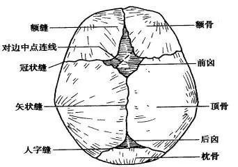 囟门是观察宝宝健康状况的天窗,随着孩子的长大,它会自己闭合.