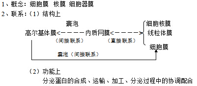 细胞器-系统内的分工合作教学设计