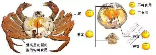 注螃蟹四个部位不能食用