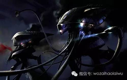 《变形金刚》2007海豚墙纸图片