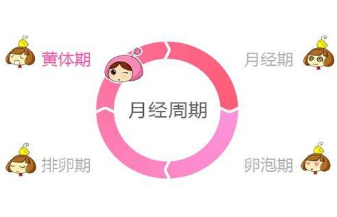 月经结束后的7天时间，是卵泡期，也是卵子逐渐发育形成的时间，这个时候