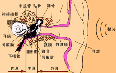 常戴耳机出现耳痛耳鸣不重视摊大事了