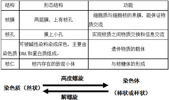 细胞核系统的控制中心教案ppt