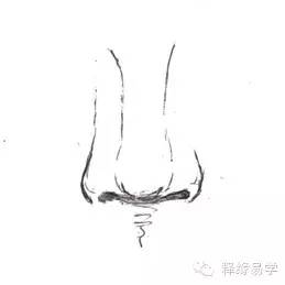 2.狮子鼻