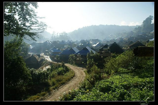 中国六大茶山之攸乐山