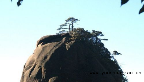 游上饶:三清山南清园景区神龙戏松旅游景点介绍