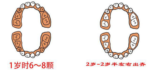 宝宝出牙问题全解答