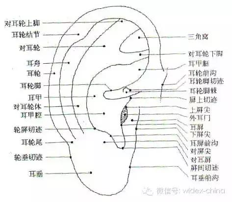 耳朵红是"上火"表现