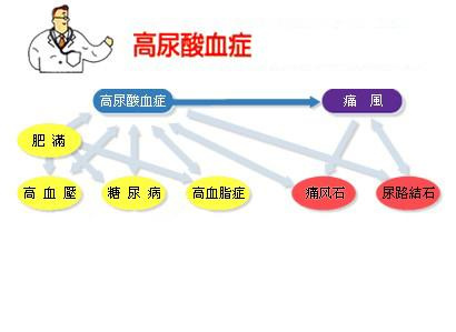 高尿酸血症就是人们常说的痛风病,随着现今饮食习惯