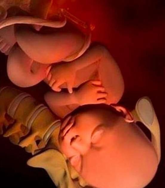 宝宝在妈妈肚子里每一周的变化,生命多美妙