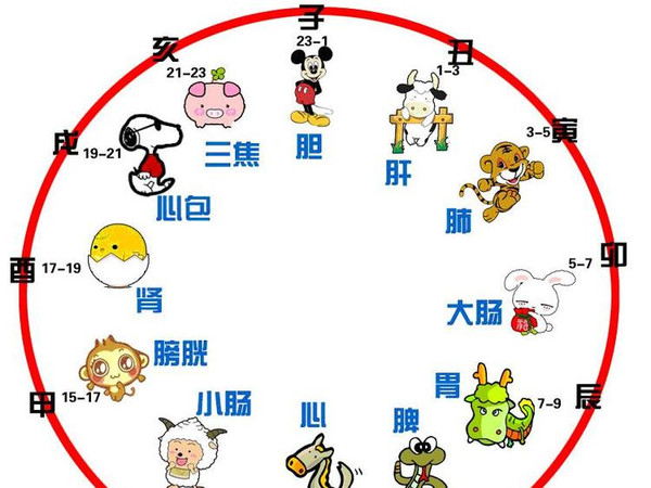 谈十二时辰养生(三)