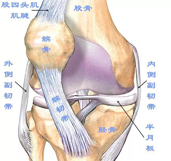 年纪不大膝关节总是咔咔响是怎么回事