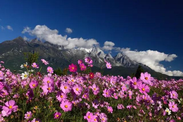 秋冬中国 醉美云南,美得令人无法呼吸_搜狐旅游_搜狐网