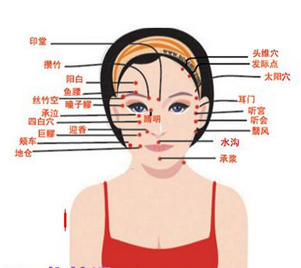 面部按摩常用的穴位