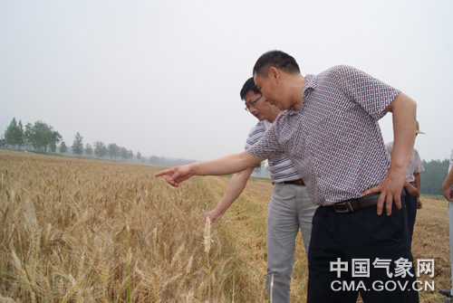 合作得好,才能服务得好--江苏省宿迁市气象为农