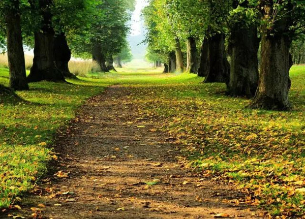 人生如行路,一路艰辛,一路风景.