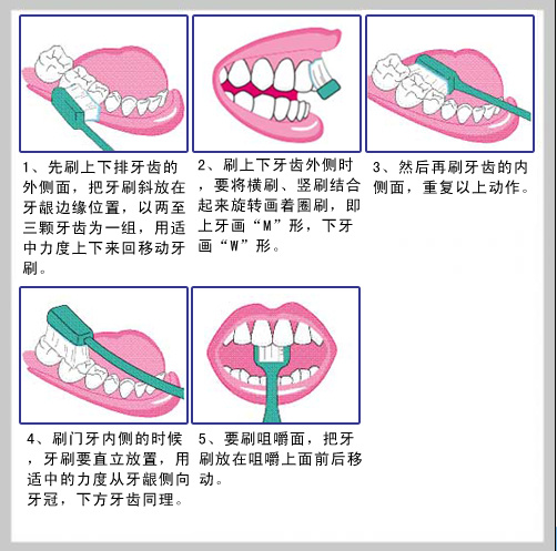 宝宝换牙期,家长必须知道的事!