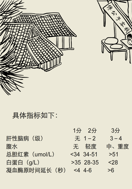 小大夫漫画:什么是肝硬化的child评分？