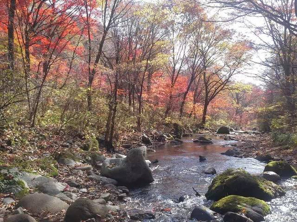 2015年9月28日11:27分开始 3,活动地点:抚顺市新宾县响水河乡岗山国家