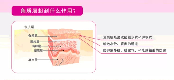 朵嘉浓:如何修复红血丝皮肤到健康状态!