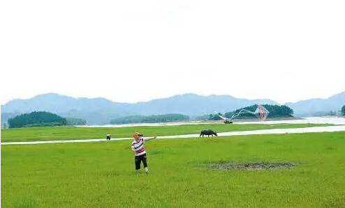 旅游 正文  而是风景里的人 台山寻皇大草原 看过气势磅礴的高山草甸