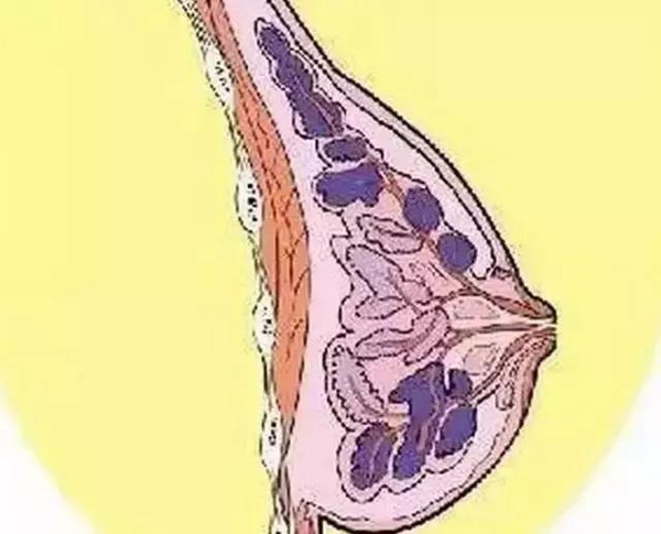 经前乳房疼痛越早,越危险!