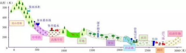 立体农业让药材种植充满效益