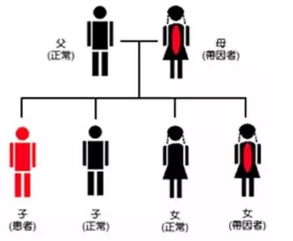 常用男性生殖健康自测方法