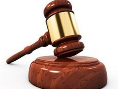 原告称被告应承担所有责任
