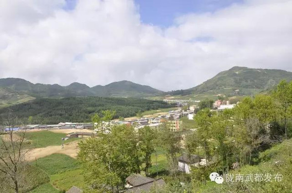 河南通许县蒲口村人口_通许县徐屯村