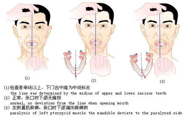 角膜反射检查角膜反射检查法4.下颌反射检查下颌反射检查法.