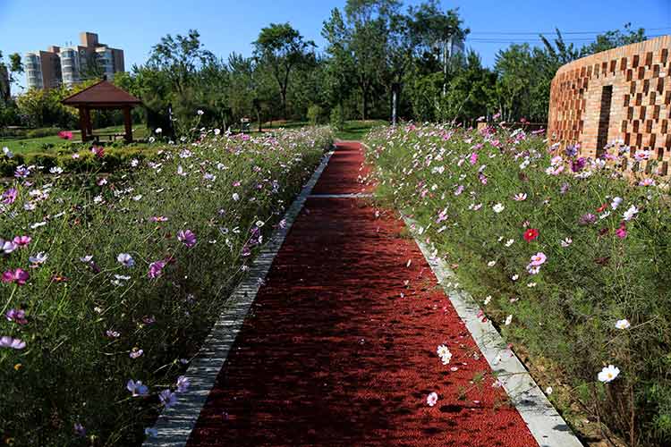 国庆长假哪里去 铜川植物园欢迎您(组图)