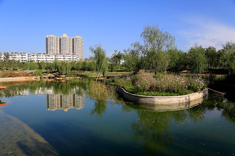 国庆长假哪里去 铜川植物园欢迎您(组图)