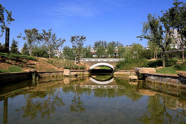 国庆长假哪里去 铜川植物园欢迎您(组图)