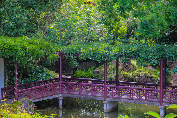 中国花园里面的红色的廊桥