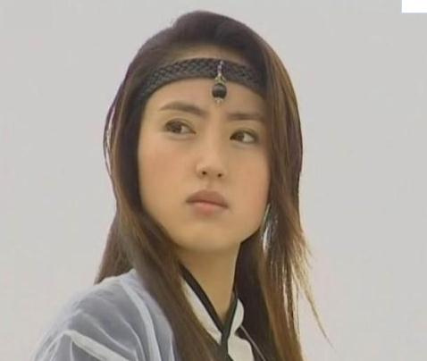 扒扒《雪花女神龙》10大主演之生存现状